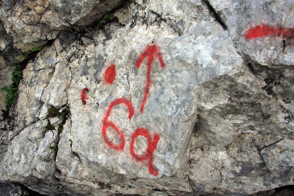 20090729_img_3517