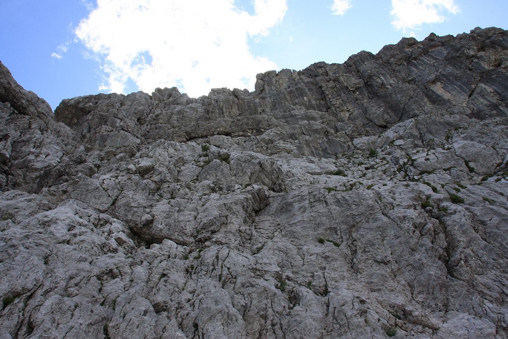 20090729_img_3538