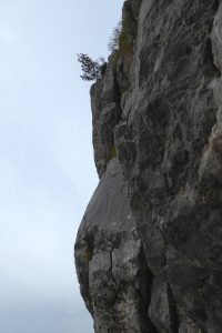 20161017_p1090493