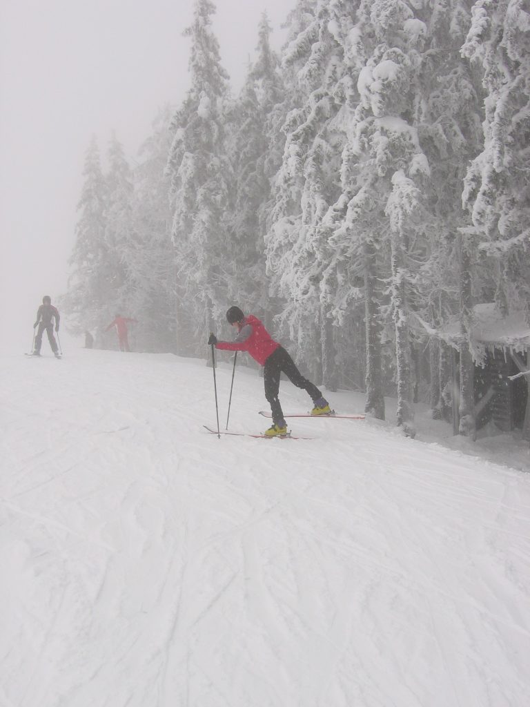 20081214_hikanje-004