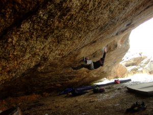 20090113_streha-hren