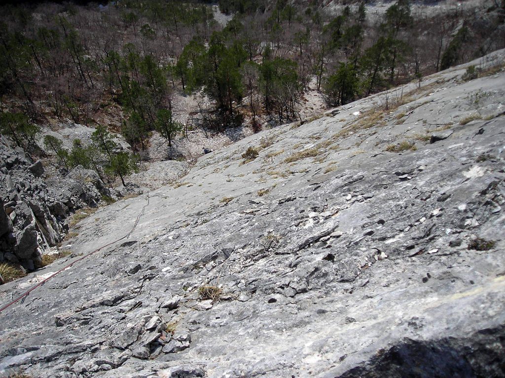 20090414_019