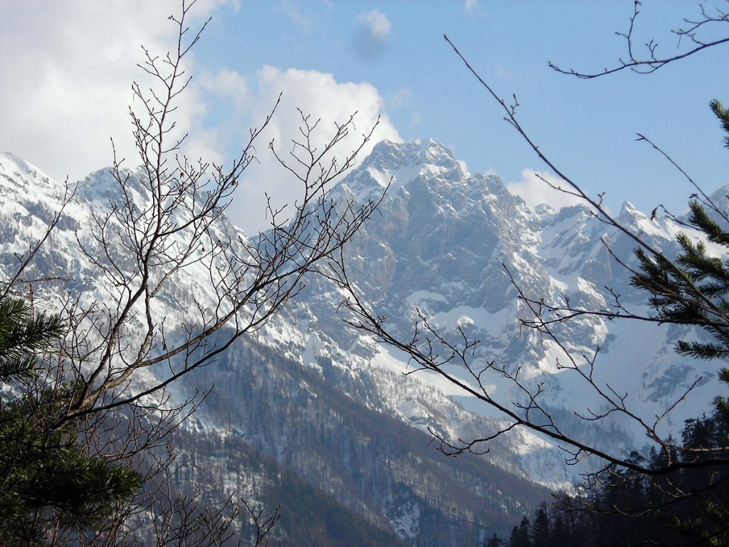 20090414_047