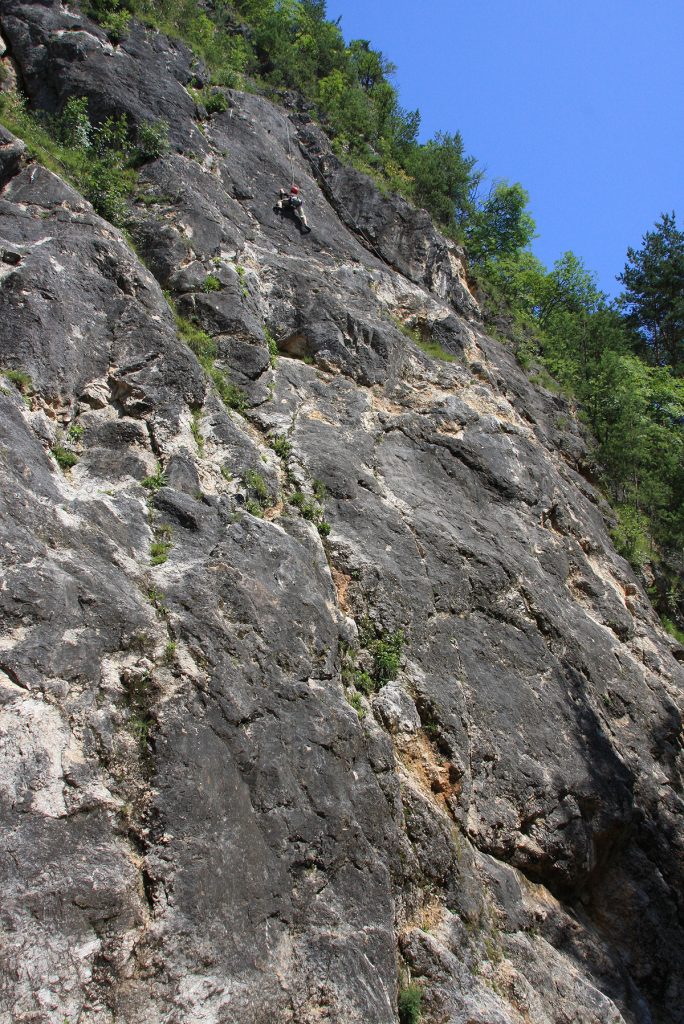 20090707_img_2913
